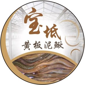 天津螃蟹横行马路，市民捡拾乐此不疲