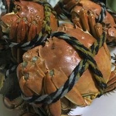 揭秘验蟹师，年收入10万至30万元的神秘职业