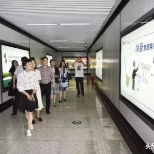 江苏惊现金矿，财富之源还是环境之忧？