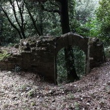 河南贾湖遗址，8000年前的木棺，揭开古代文明的神秘面纱