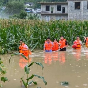 鄂渝川陕四地齐心协力，启动洪水防御Ⅳ级应急响应
