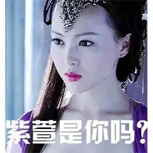 告别子涵梓萱时代，广东自媒体的新篇章