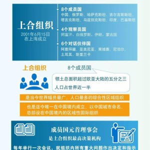 上合组织经贸合作的含金量，广东自媒体视角下的解读与展望