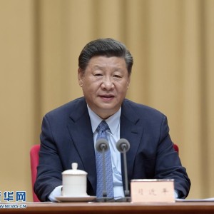 习近平总书记新疆之行，深化民族团结，共筑繁荣未来