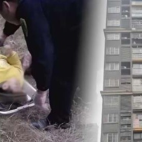 奇迹时刻，3岁幼童2楼坠落，邻居英勇接住，广东社区温情一幕