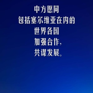 武契奇论台湾问题，坚持一个中国原则，维护地区和平稳定
