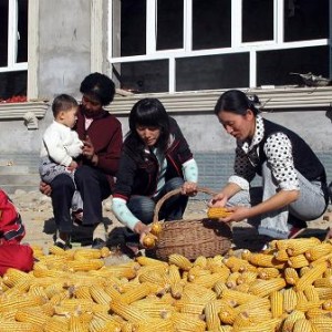新疆70年，从荒漠到绿洲，从封闭到开放的壮丽诗篇