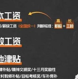 退休老师成了学校争抢的香饽饽，教育界的新现象