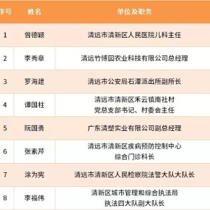 2025年最美教师名单公布，广东教育界的璀璨明星