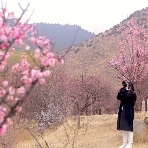 总书记牵挂的桃花源开出致富花，广东乡村的振兴之路