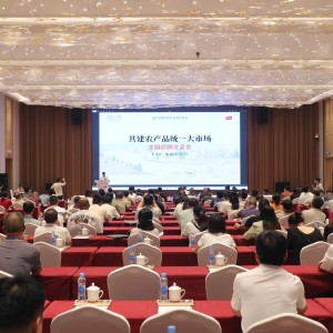 总书记部署全国统一大市场建设，广东自媒体达人视角下的解读与展望