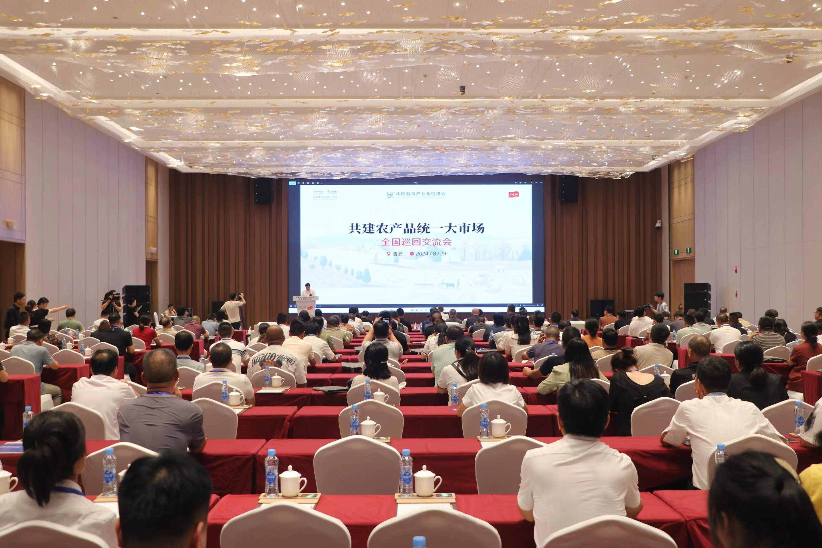 总书记部署全国统一大市场建设，广东自媒体达人视角下的解读与展望