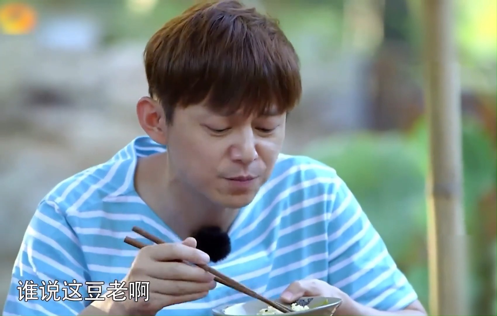黄磊与何炅的厨缘，美食背后的友情与坚持