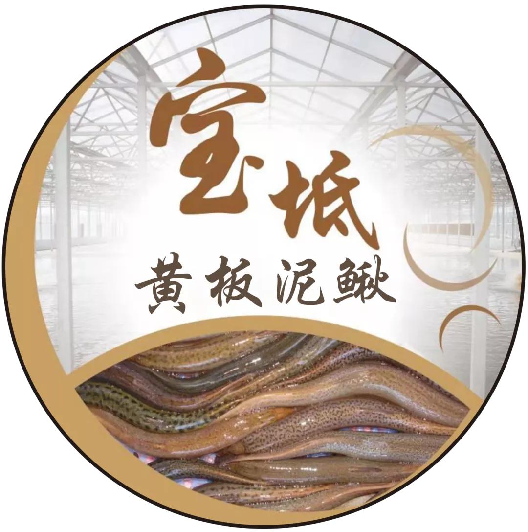 天津螃蟹横行马路，市民捡拾乐此不疲