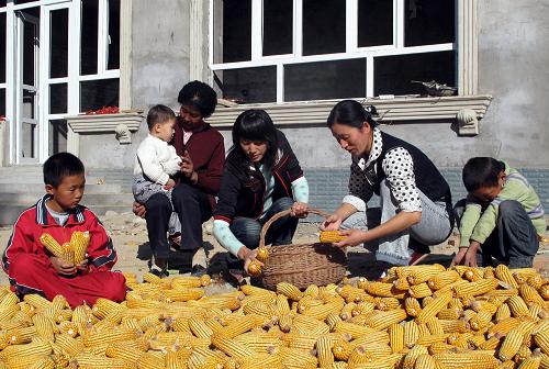 新疆70年，从荒漠到绿洲，从封闭到开放的壮丽诗篇