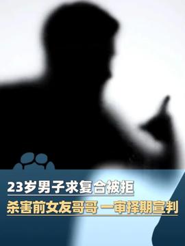 香港男子幻觉弑父案，精神健康与法律责任的边界探讨